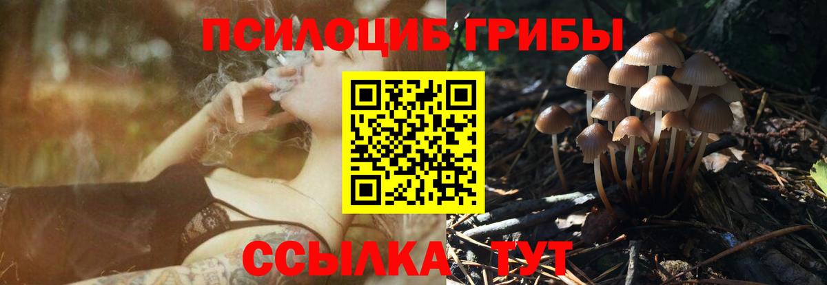 Тимашёвск  Галлюциногенные грибы Psilocybine cubensis  Вход с VPN  Галлюциногенные грибы Magic Shrooms 